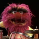Image for article titled The Most Popular Everything on the Internet